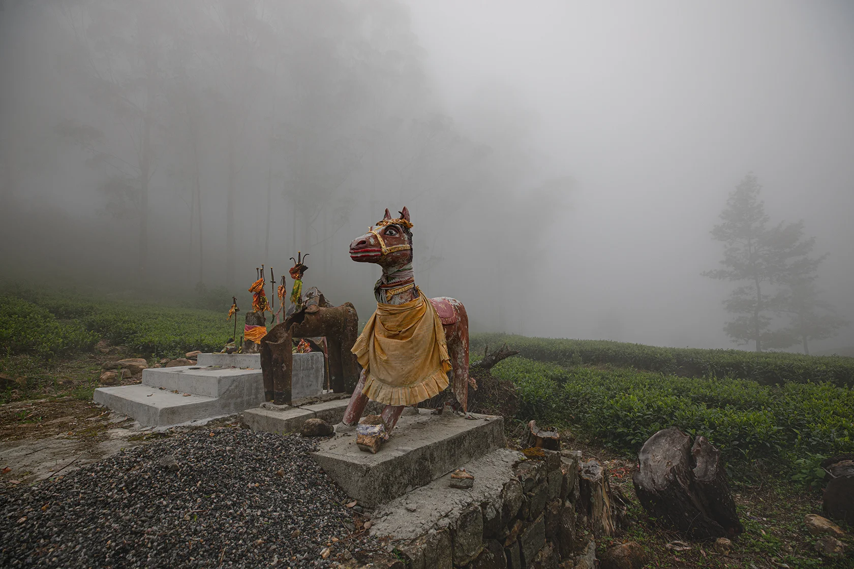 Central highlands photography tour