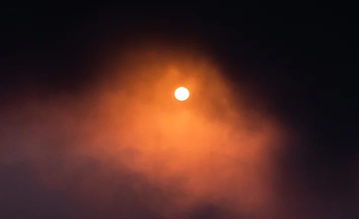 St. AnthonyΓÇÖs Feast